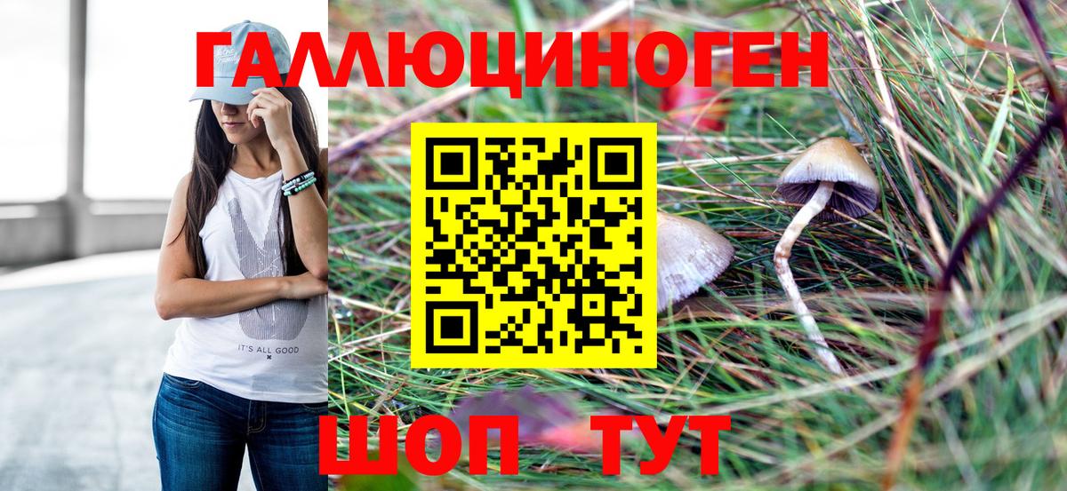Псилоцибиновые грибы прущие грибы  Псилоцибиновые грибы Psilocybe  закладки  Вход с VPN  Куйбышев 